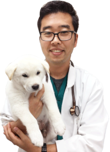 photo of doctor jin